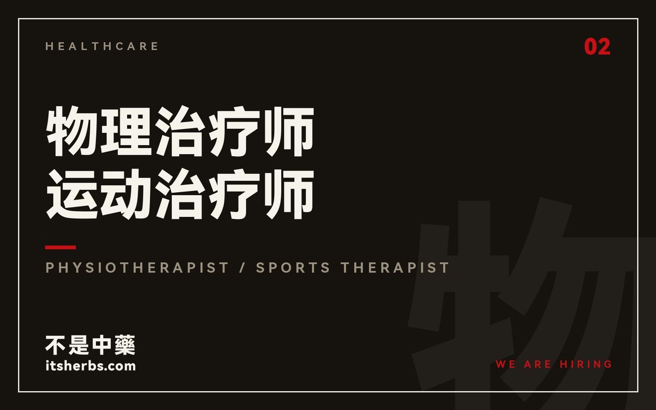 物理治疗师 / 运动治疗师 | Physiotherapist / Sports Therapist